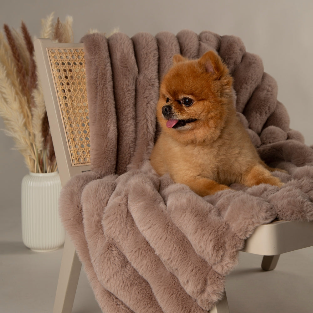 SCRUFFS | Aspen Blanket – Taupe