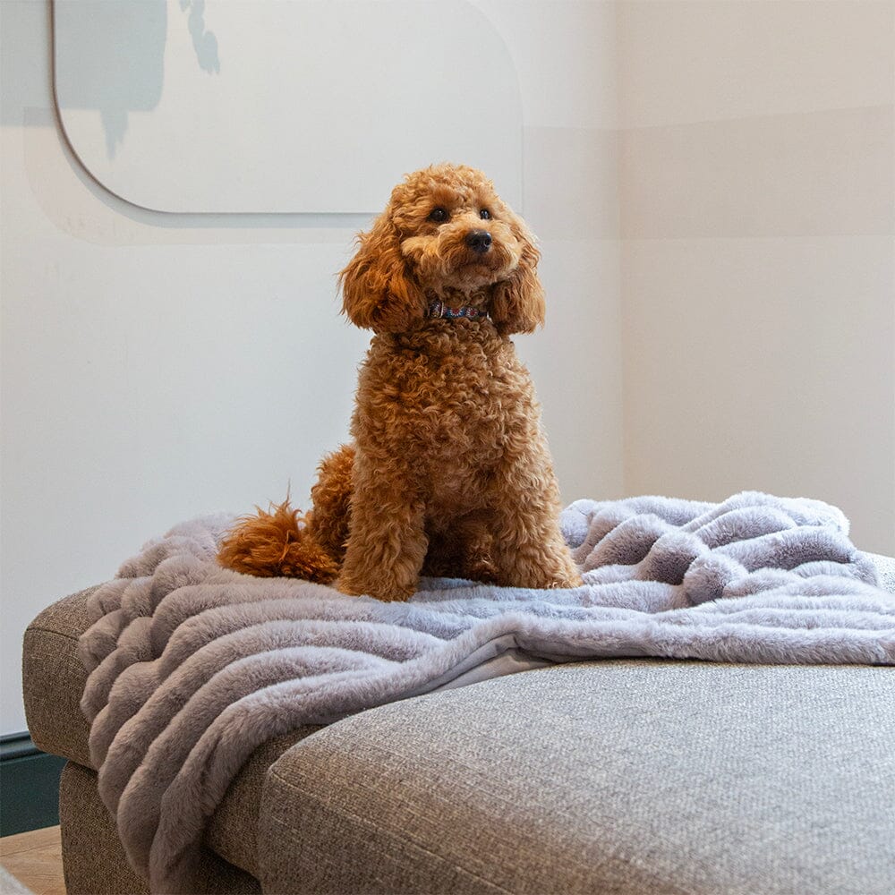 SCRUFFS | Aspen Blanket – Grijs