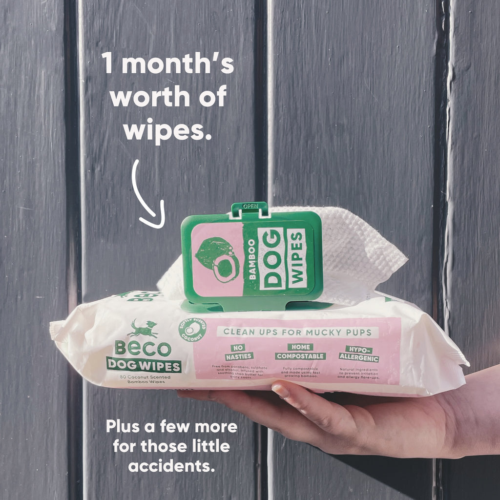 BECO | Bamboo Dog Wipes - Coconut Scented - 80 Pack