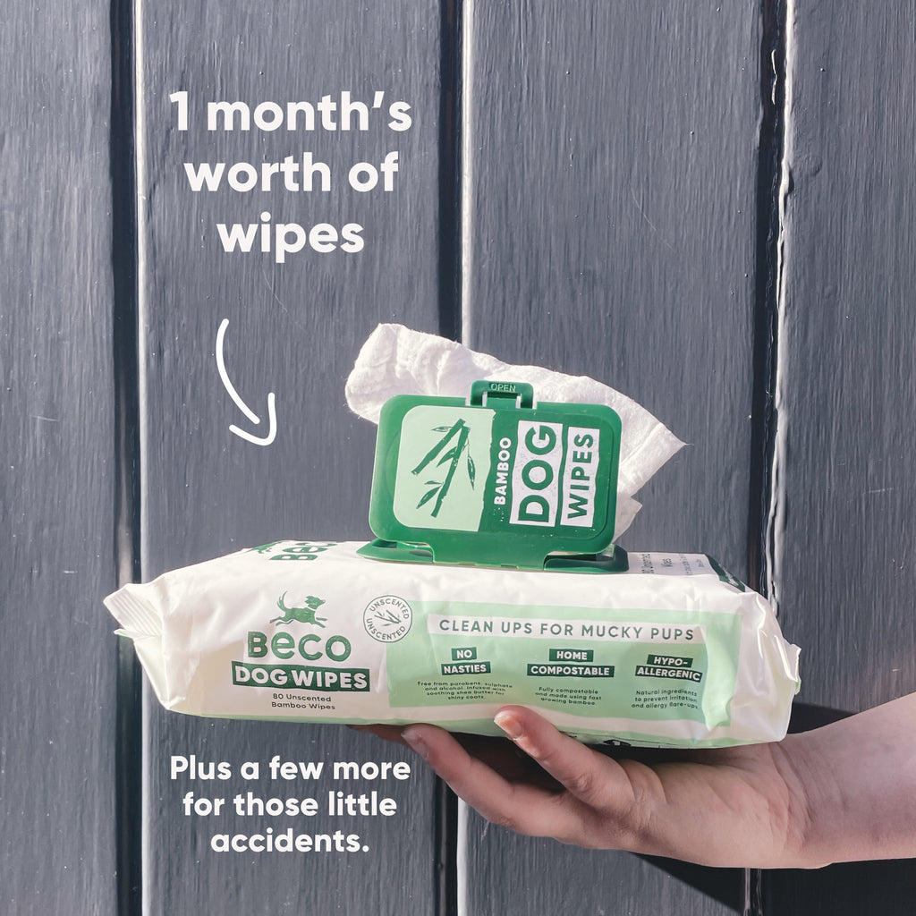 BECO | Bamboo Dog Wipes - Unscented - 80 Pack