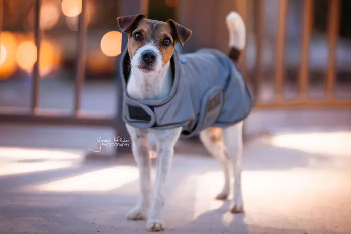 KENTUCKY DOGWEAR | Reflective & Water Repellent Dog Coat - Silver