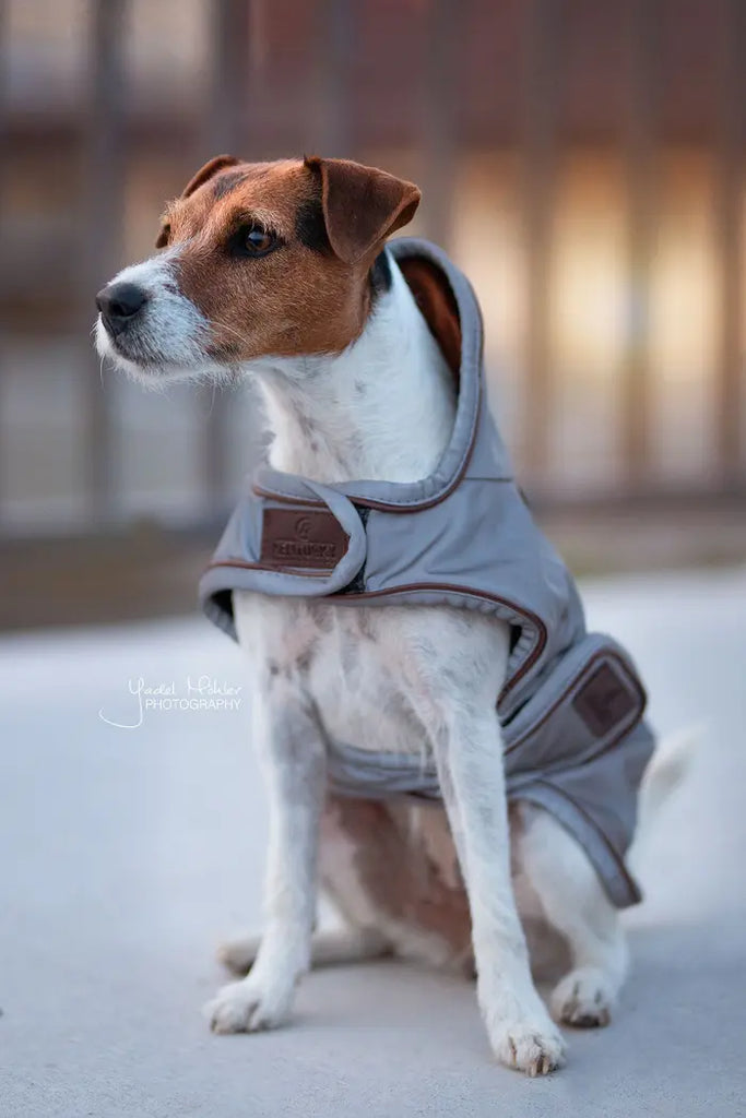 KENTUCKY DOGWEAR | Reflective & Water Repellent Dog Coat - Silver
