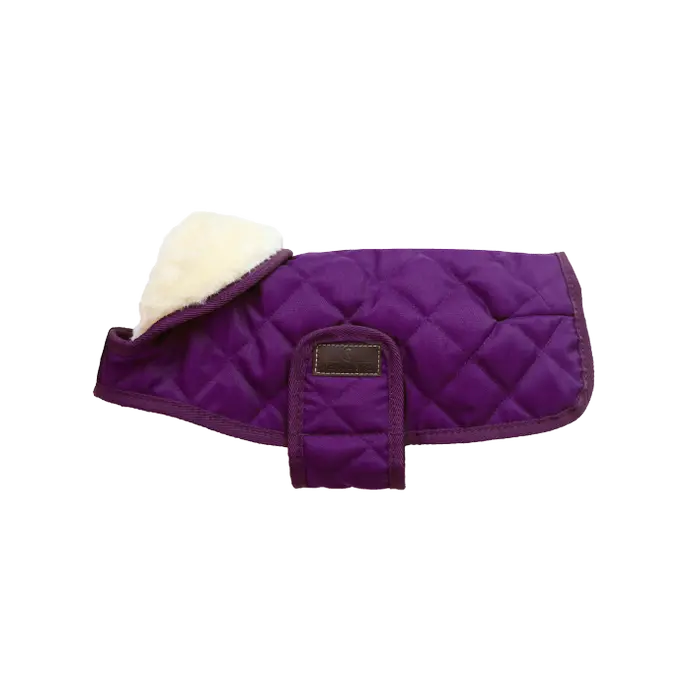 KENTUCKY DOGWEAR | Original Dog Coat - Royal Purple