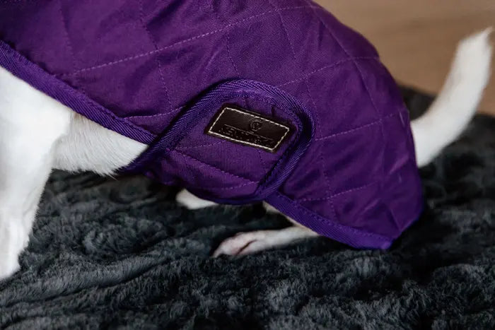 KENTUCKY DOGWEAR | Original Dog Coat - Royal Purple