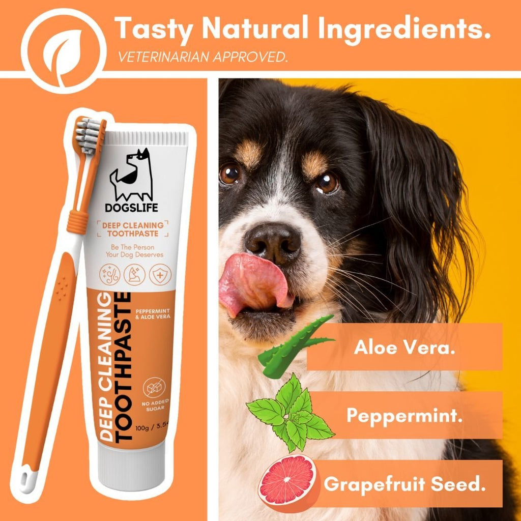 DOGSLIFE | Dental Kit