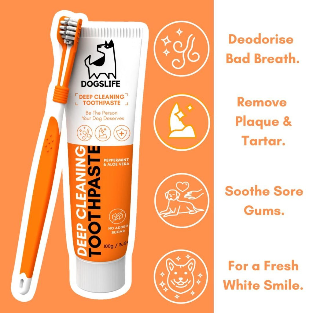 DOGSLIFE | Dental Kit