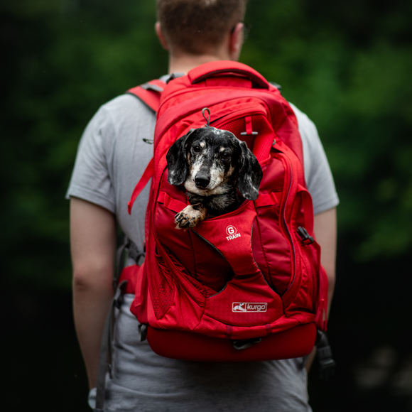 KURGO | G-Train K9 Rugzak - Rood