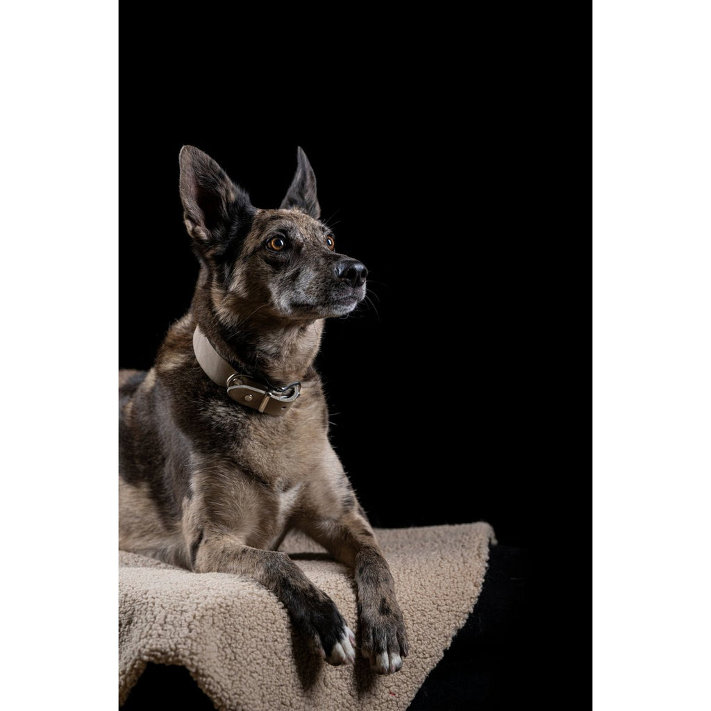 GIRO | Leren Halsband - Grijs