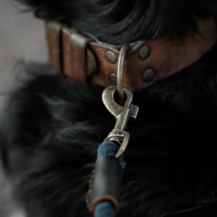 TWISTED COTTON | Verstelbare Hondenriem - Middernacht Blauw