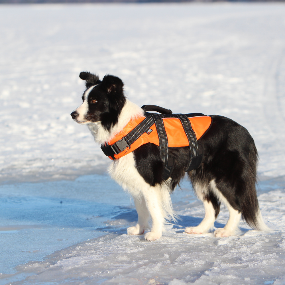 RUKKA PETS | Safety Life Vest