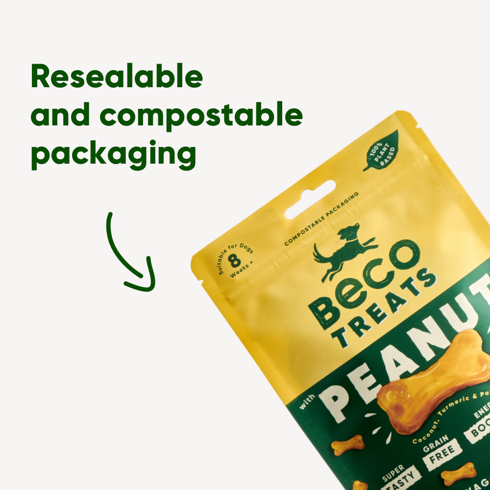 BECO | Treats - Peanut with Coconut & Turmeric