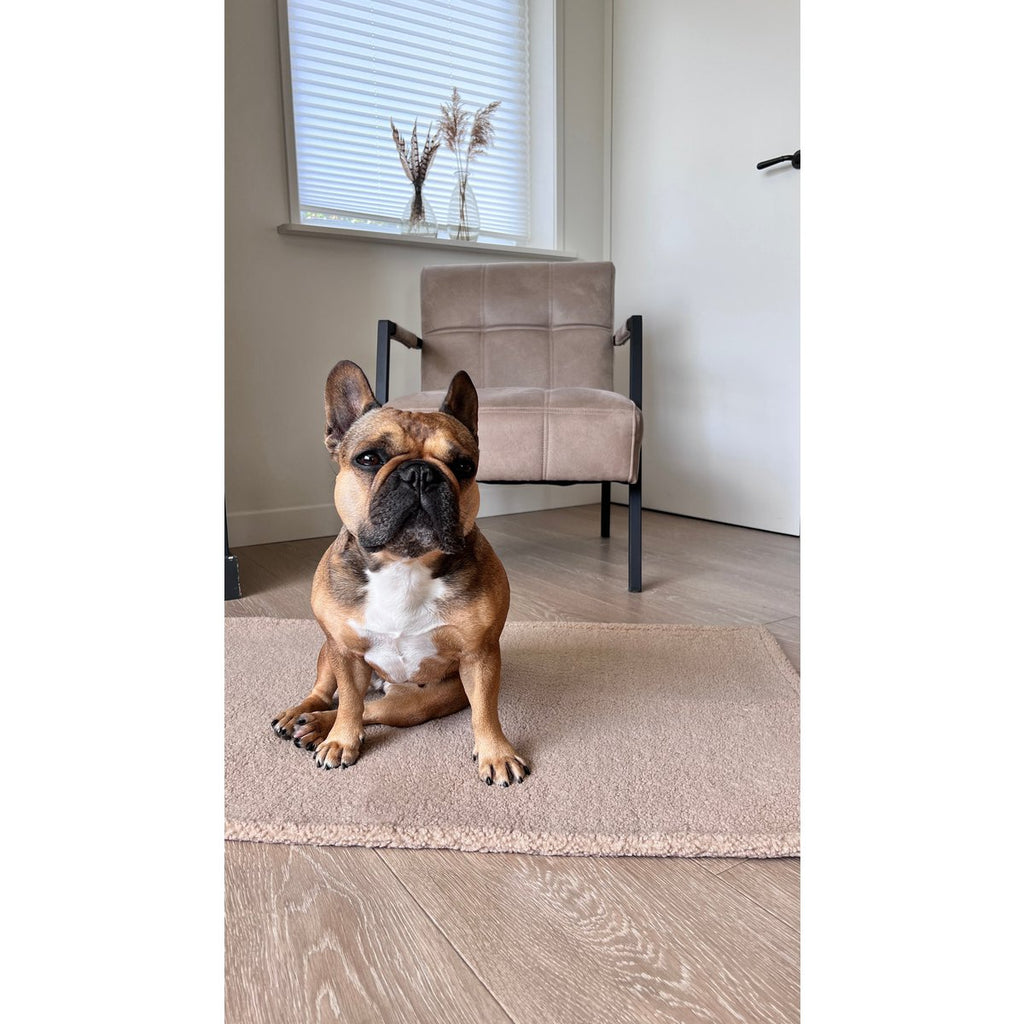 TEDDY | Multifunctioneel Deken - Cream