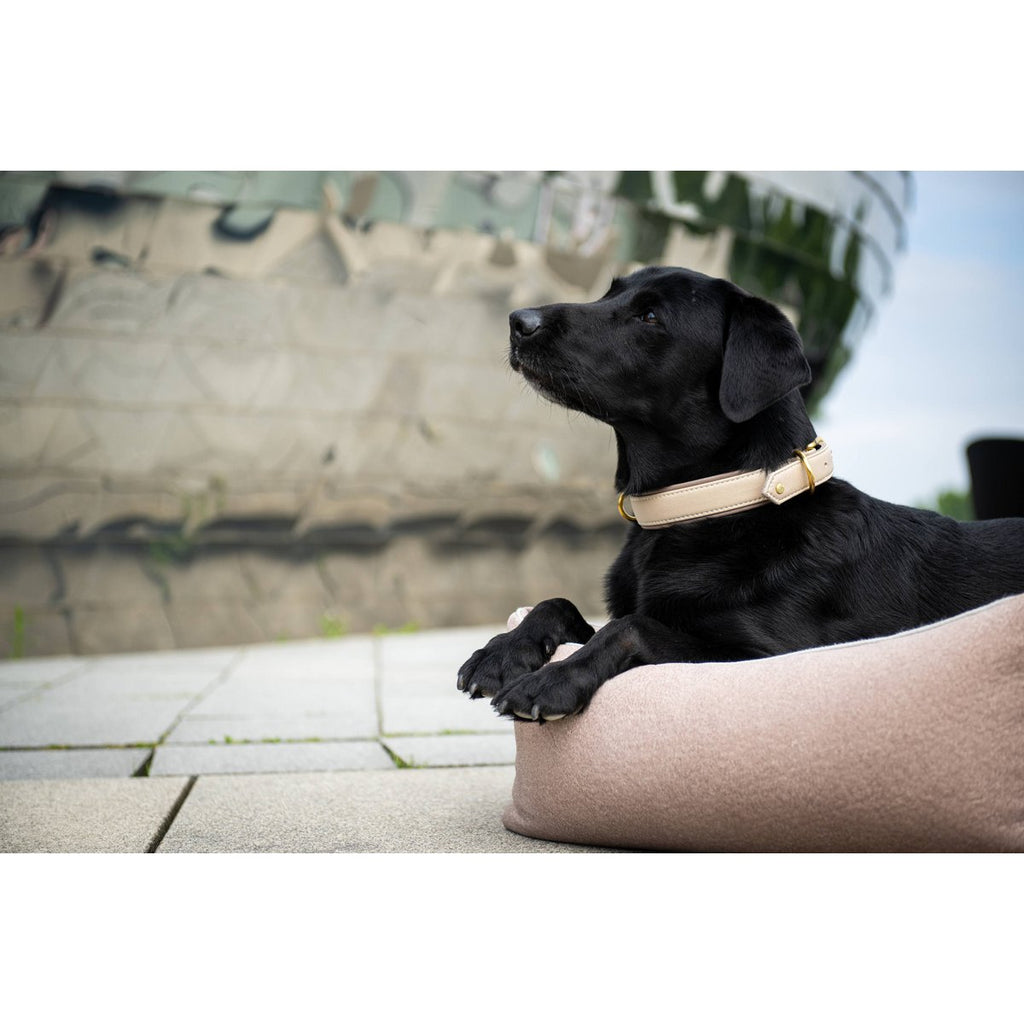 AMICI | Nappa Halsband - Ivory