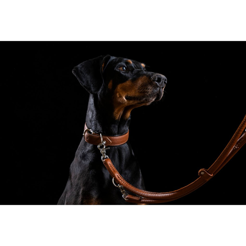 AMICI | Nappa Halsband - Cognac