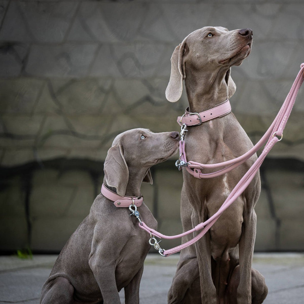 AMICI | Nappa Halsband - Rose