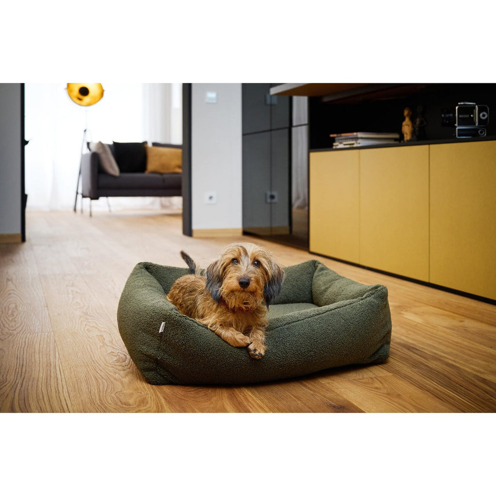 TEDDY | Hondenbed - Groen