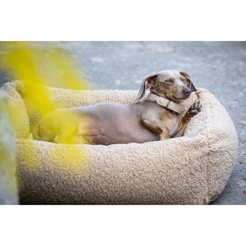 TEDDY | Hondenbed - Cream