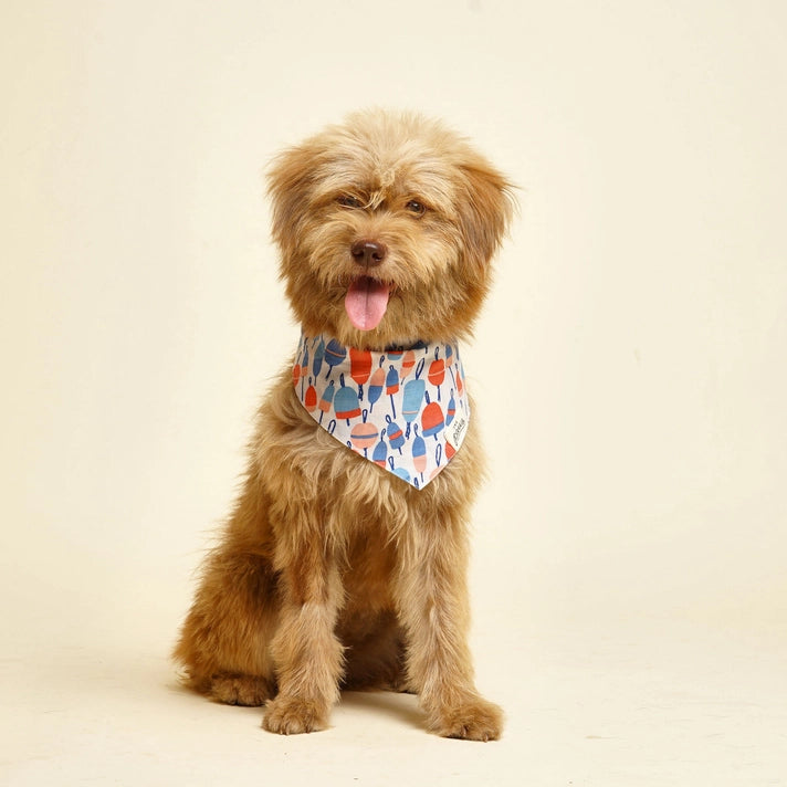 THE PAWS | Buoy Dog Bandana