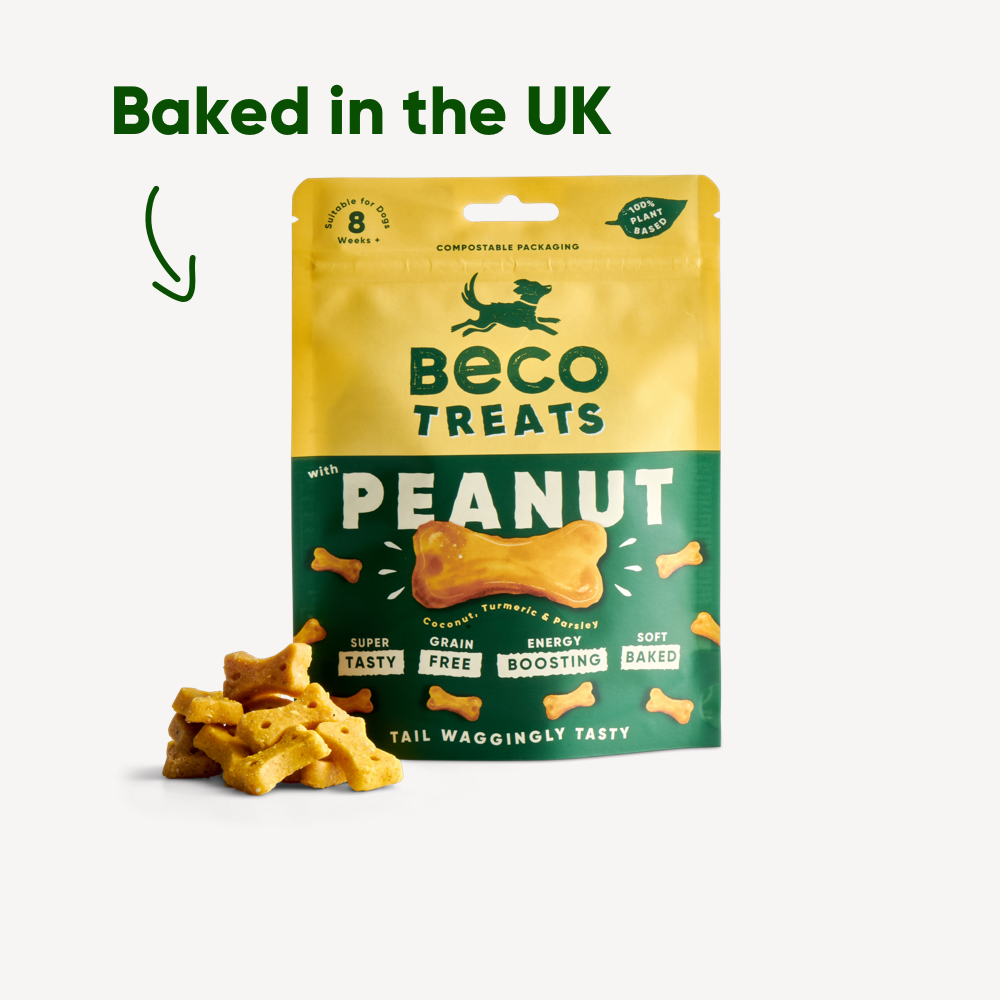 BECO | Treats - Peanut with Coconut & Turmeric