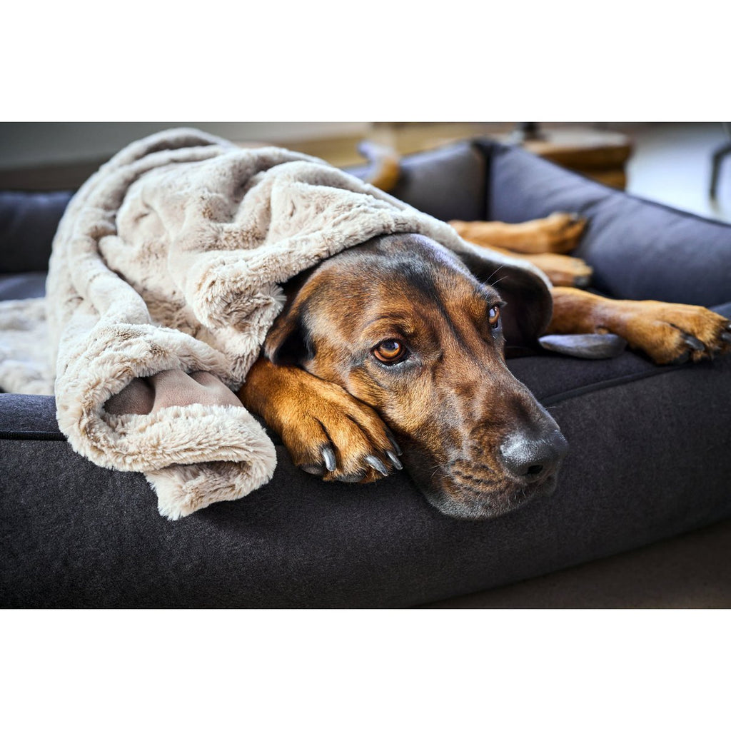COSY | Deken - Beige