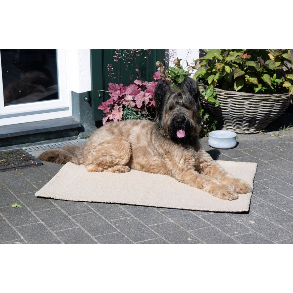 TEDDY | Multifunctioneel Deken - Cream