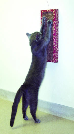 CAT DANCER | Wall Scratcher