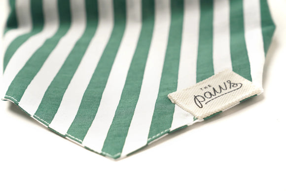 THE PAWS | Crew Dog Bandana