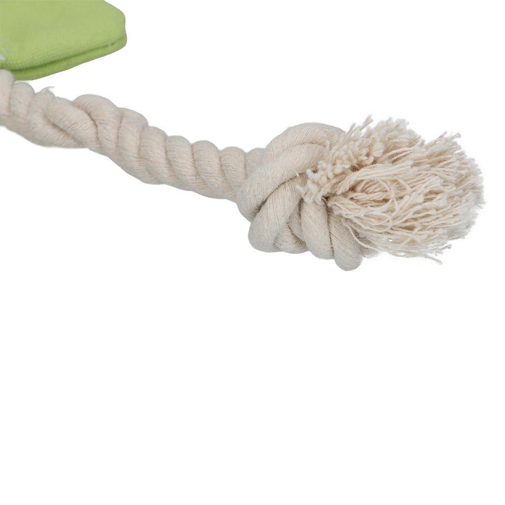 GARDEN PAWS | Scarecrow - Indy Fields