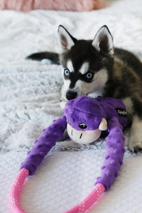 ZIPPYPAWS | Rope Tugz - Purple Monkey