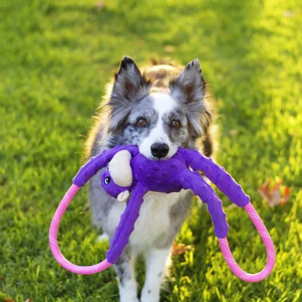 ZIPPYPAWS | Rope Tugz - Purple Monkey