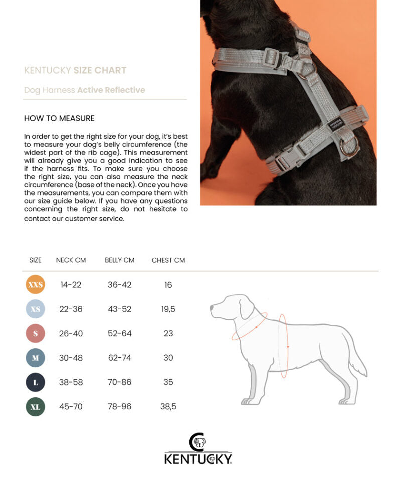 KENTUCKY DOGWEAR | Active Reflective Harnas