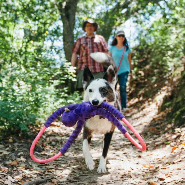 ZIPPYPAWS | Rope Tugz - Purple Monkey