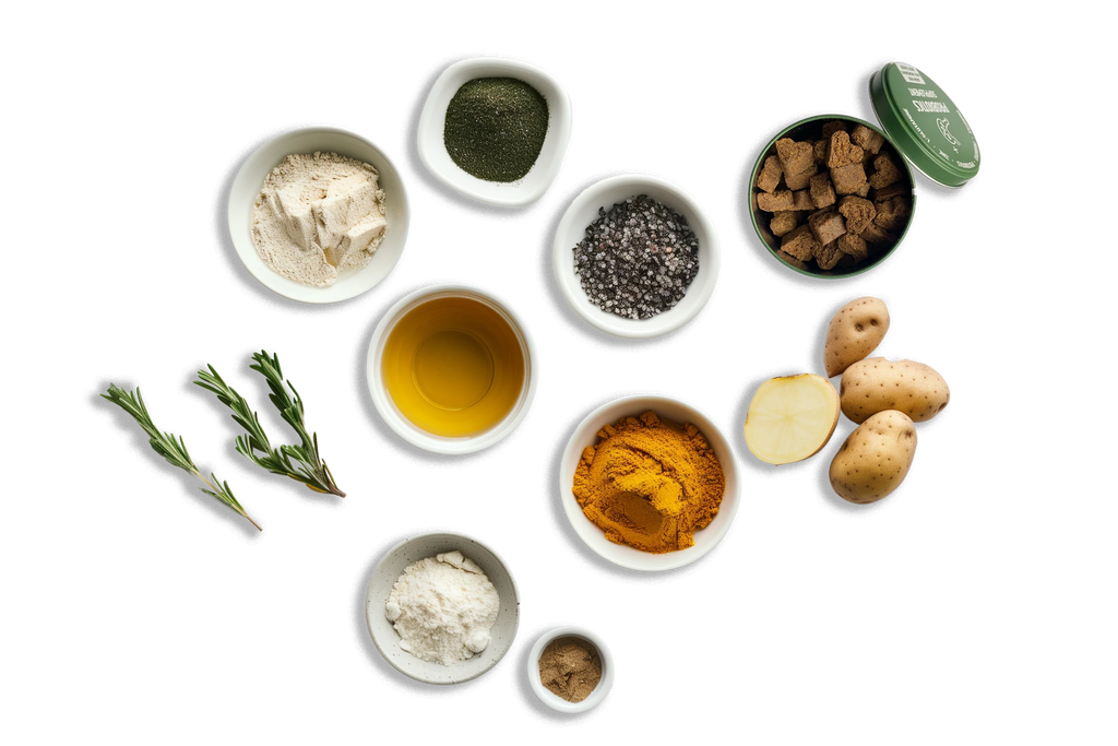 GUTSY | Probiotics Supplement