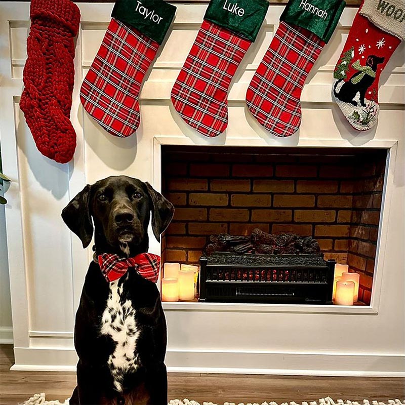 LULUBELLES | Holiday Bow Tie Royal Tartan