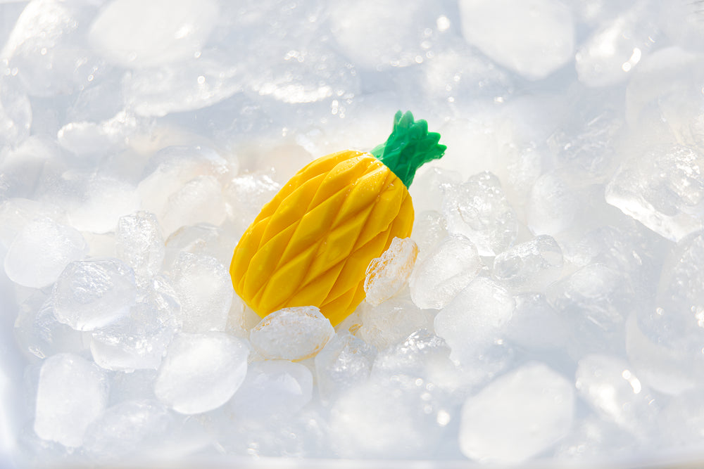 FILL-N-FREEZE | Ananas