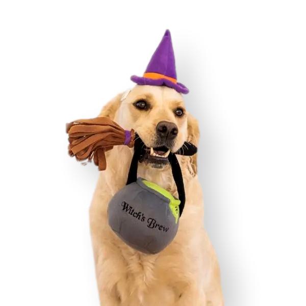 ZIPPYPAWS | Halloween Costume Kit - Witch