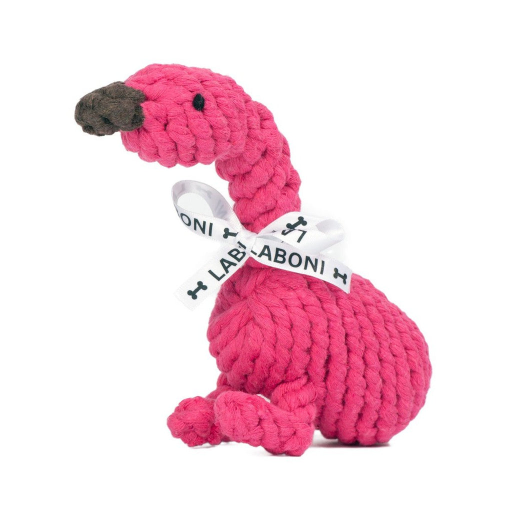 Franzi Flamingo