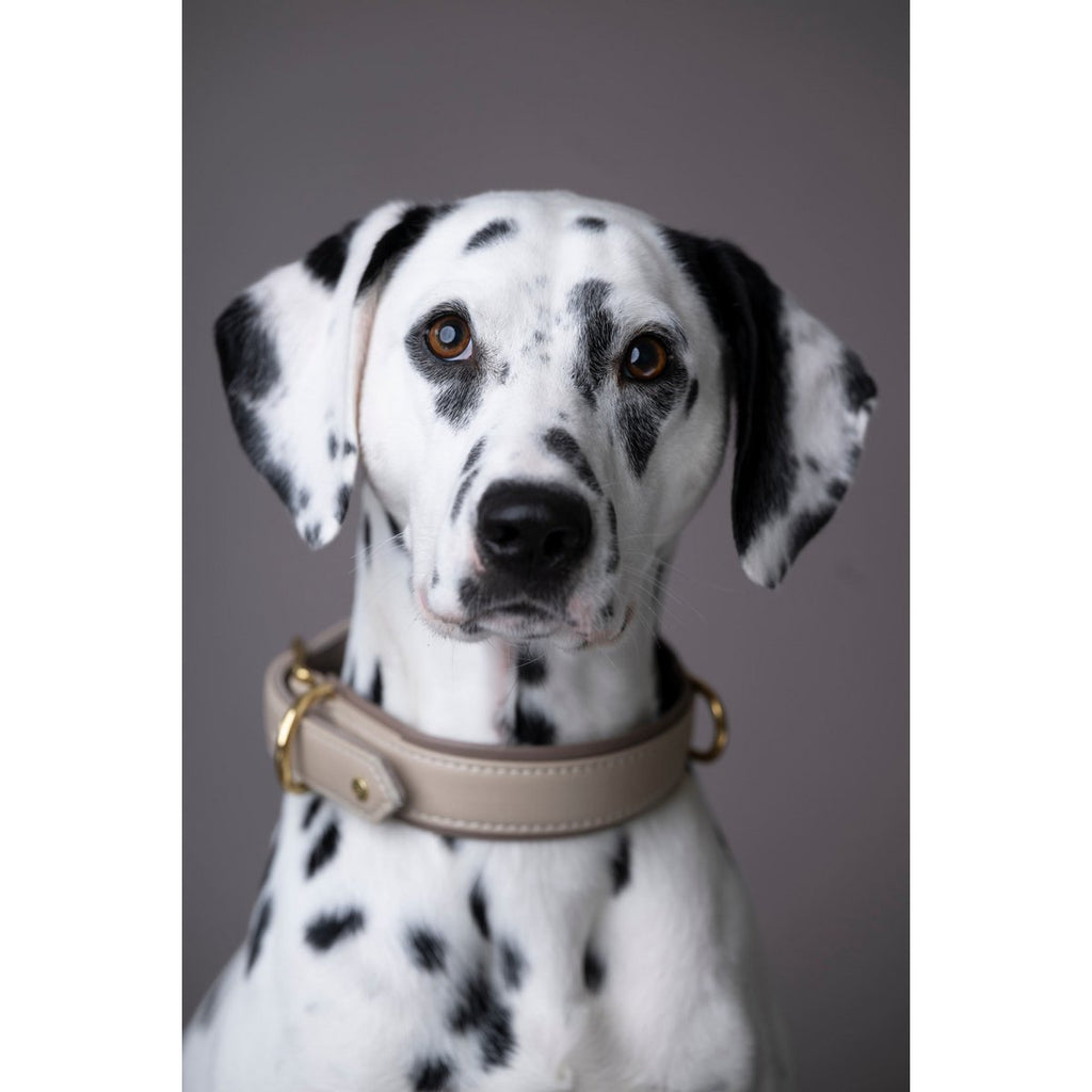 AMICI | Nappa Halsband - Ivory