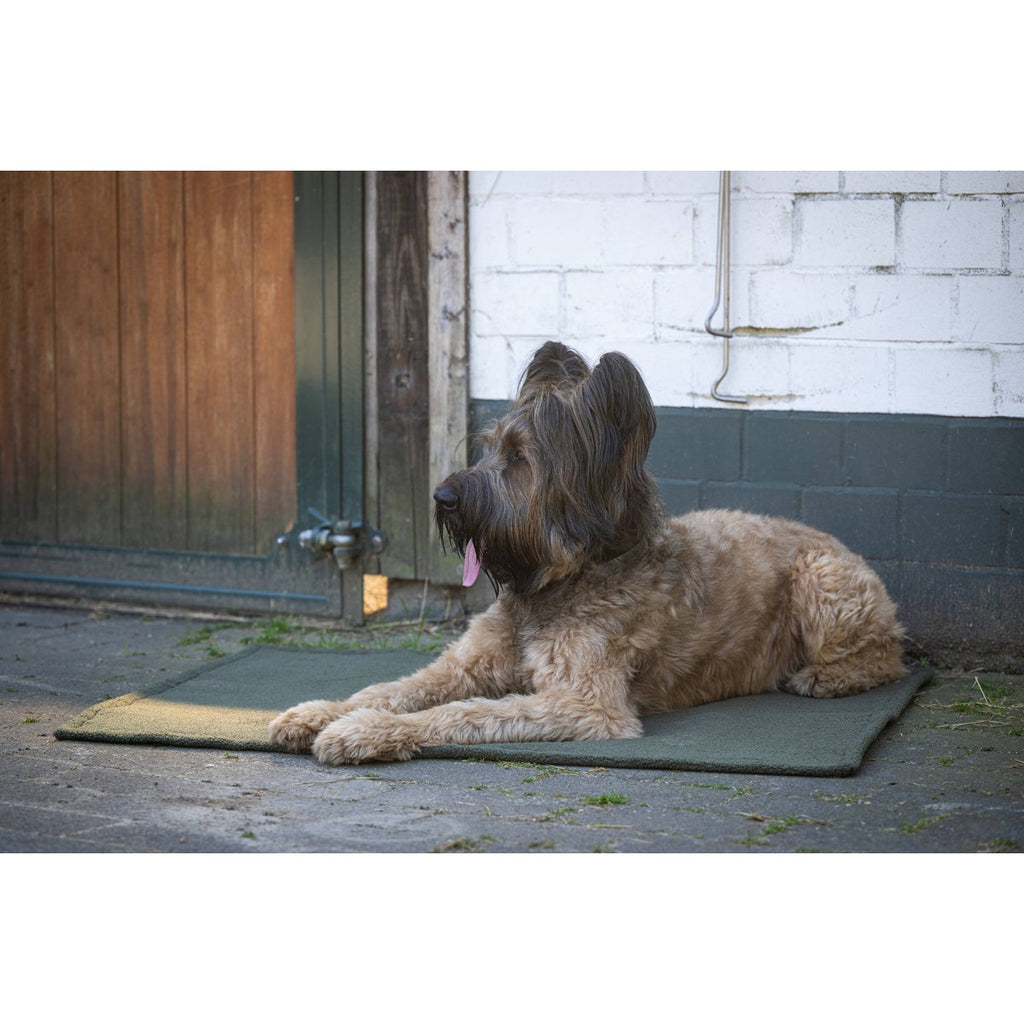 TEDDY | Multifunctioneel Deken - Groen