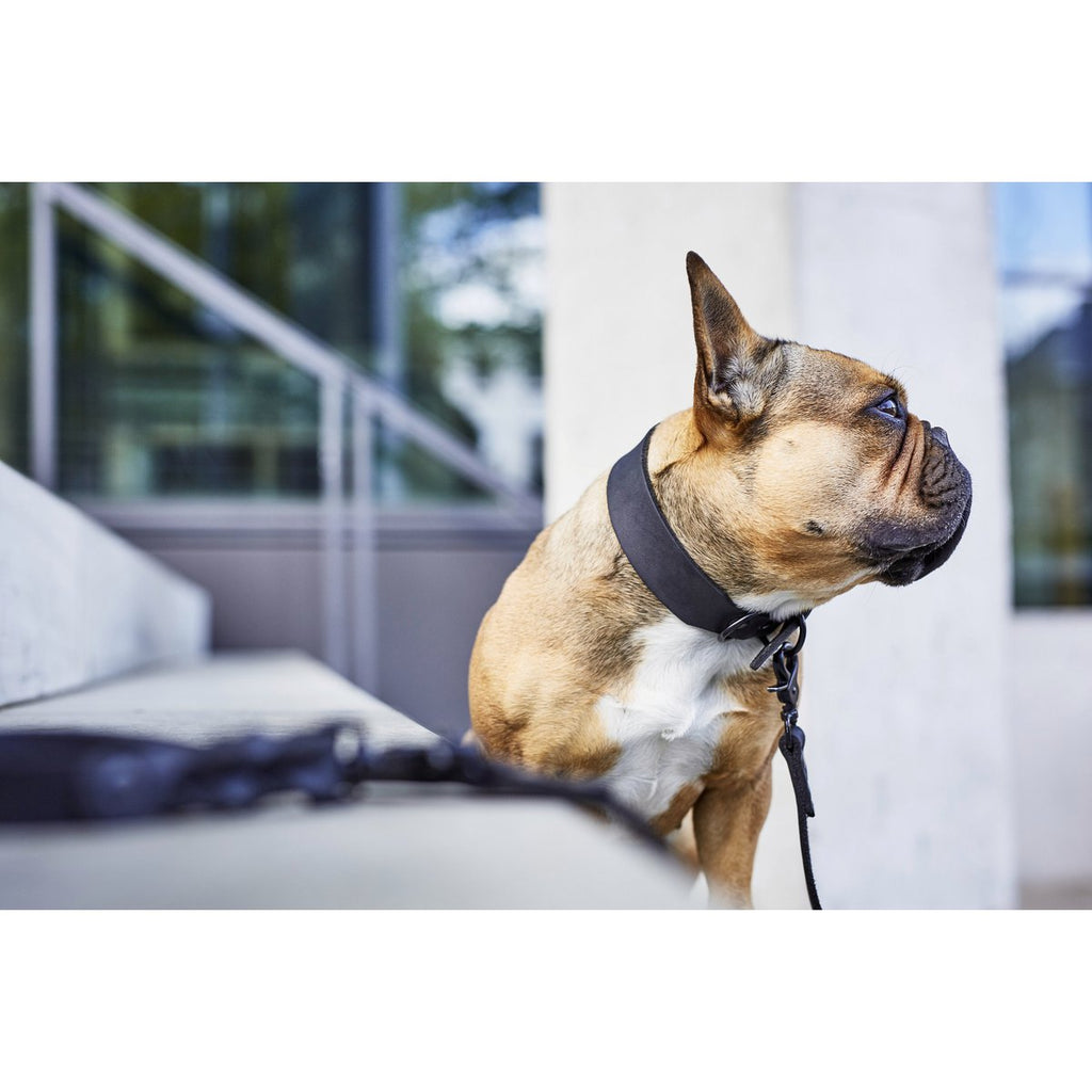 GIRO | Leren Halsband - Zwart