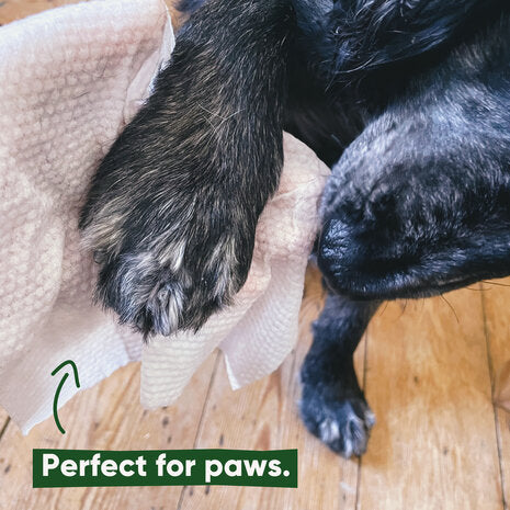 BECO PETS | Bamboo Dog Wipes - Unscented