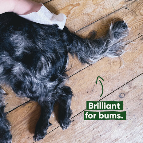 BECO PETS | Bamboo Dog Wipes - Unscented