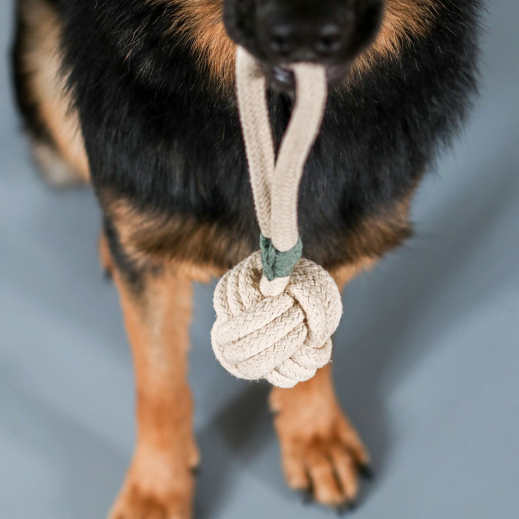 Tie the Knot Tug Toy