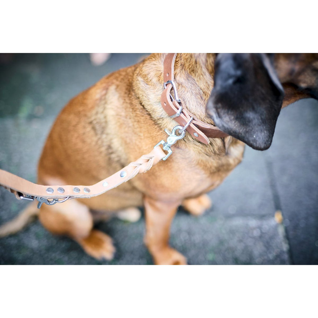 GIRO | Leren Halsband - Mokka