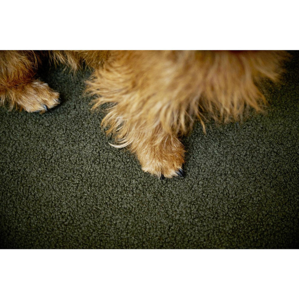 TEDDY | Hondenbed - Groen