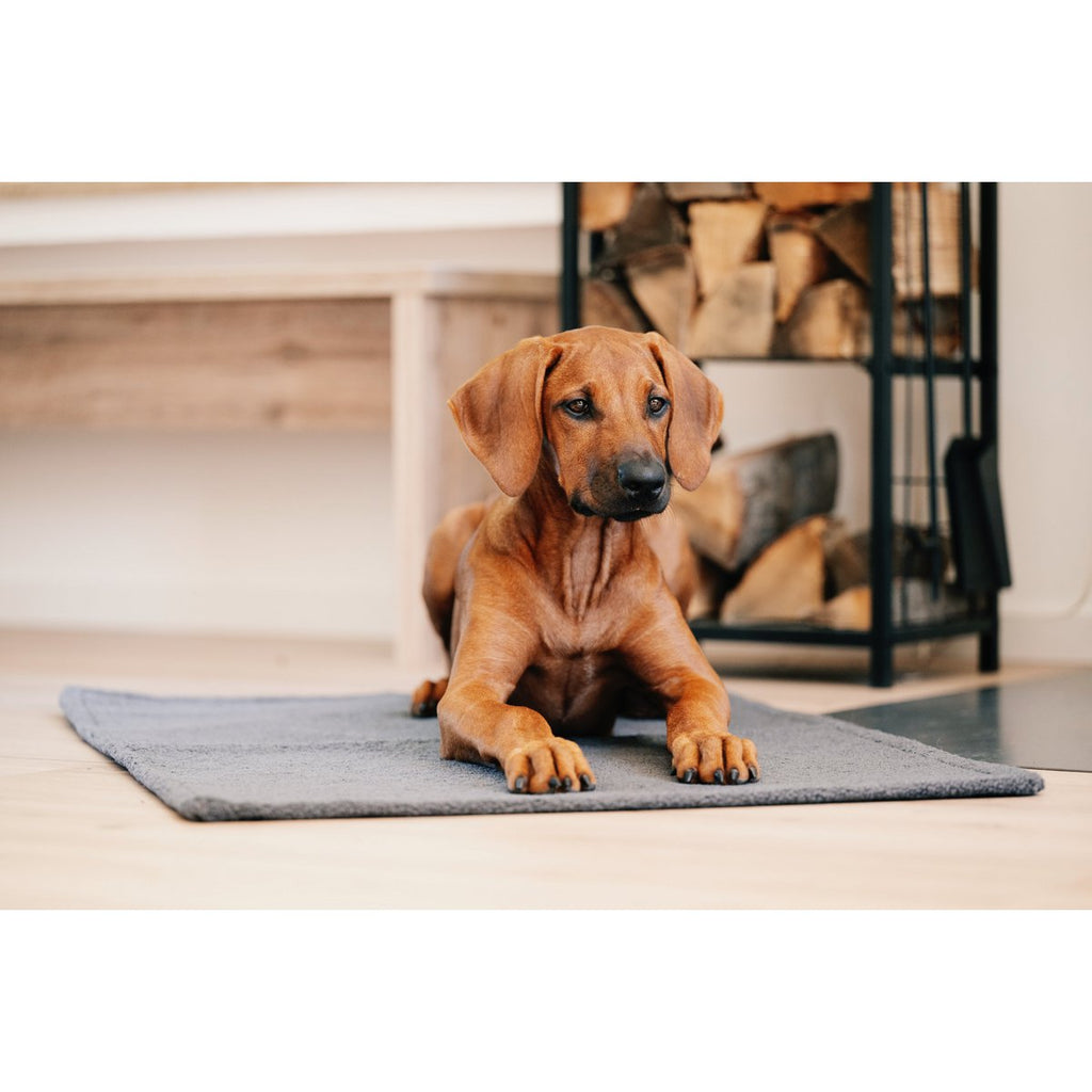 TEDDY | Multifunctioneel Deken - Grey