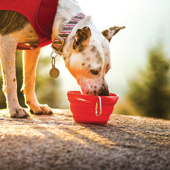 KURGO | Collaps-a-Bowl - Rood