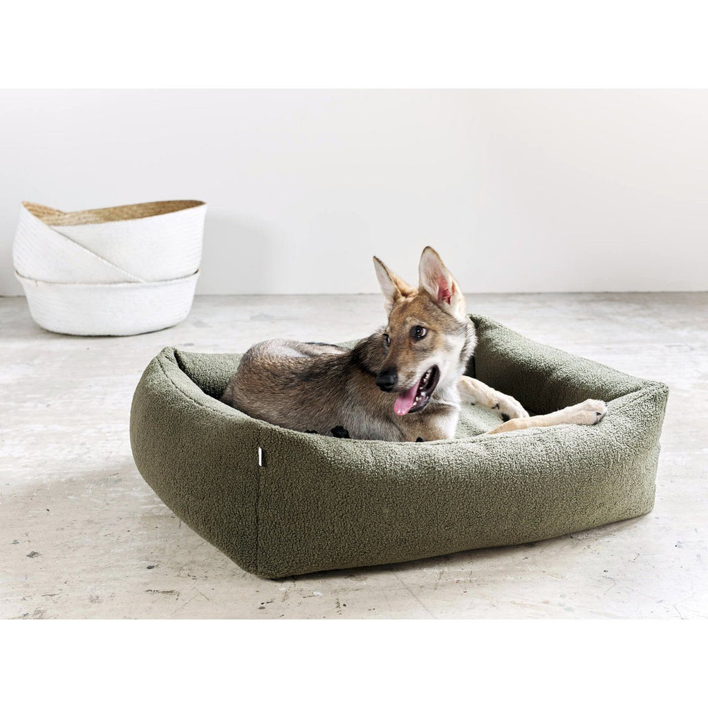 TEDDY | Hondenbed - Groen