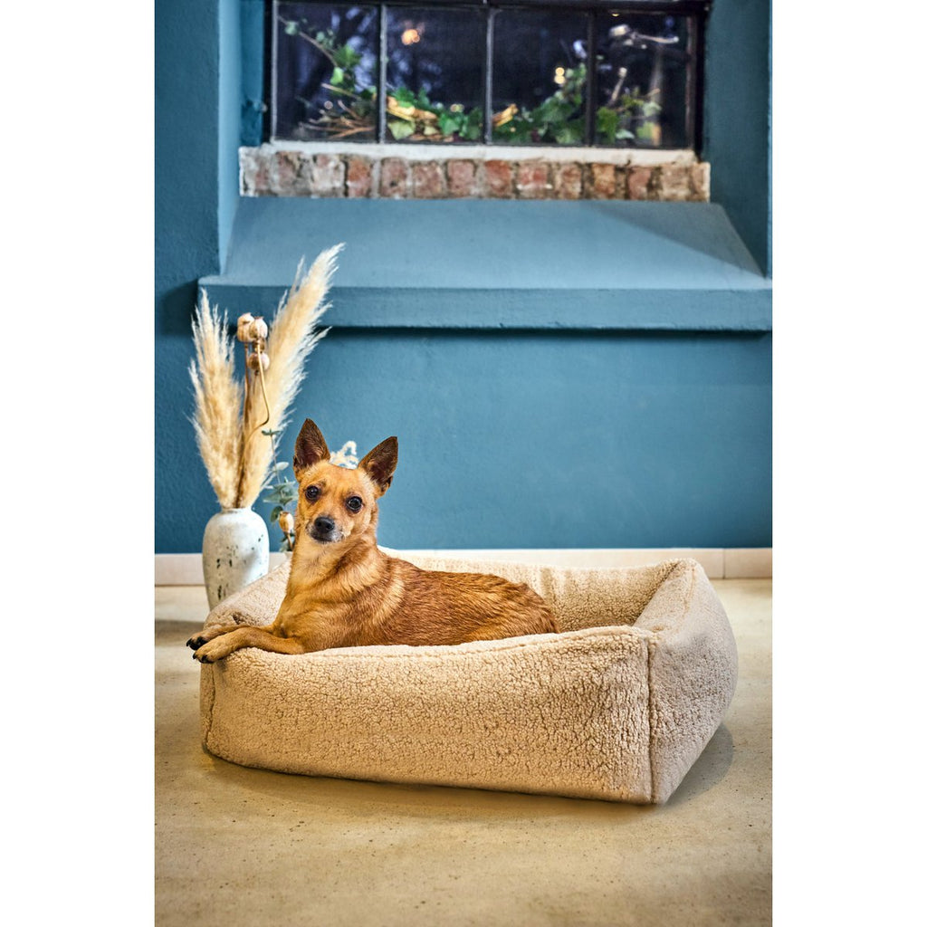 TEDDY | Hondenbed - Cream