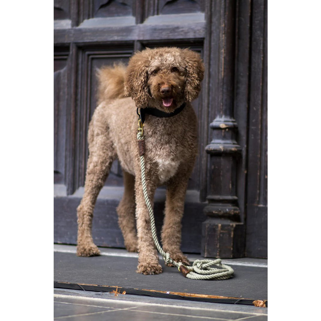 TWISTED COTTON | Verstelbare Hondenriem - Olijfgroen